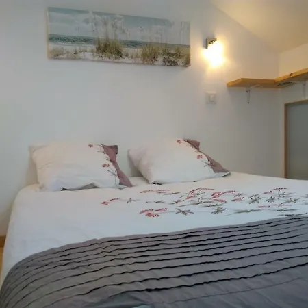 Apartman 1 2 Salon ,3 Renoves , Netflix, Lits Faits A Votre Arrivee, Serviettes De Toilette, Menage, Wifi, En Hyper Centre ,plage A 190m, Box A Velos, Paiement 3 Fois Sans Frais, Prix