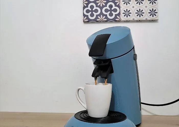 Appartement 1 2 Salon ,3 Rénovés , Netflix, Lits Faits à Votre Arrivée, Serviettes De Toilette, Ménage, Wifi, En Hyper Centre ,plage à 190m, Box à Vélos, Paiement 3 Fois Sans Frais, Prix *