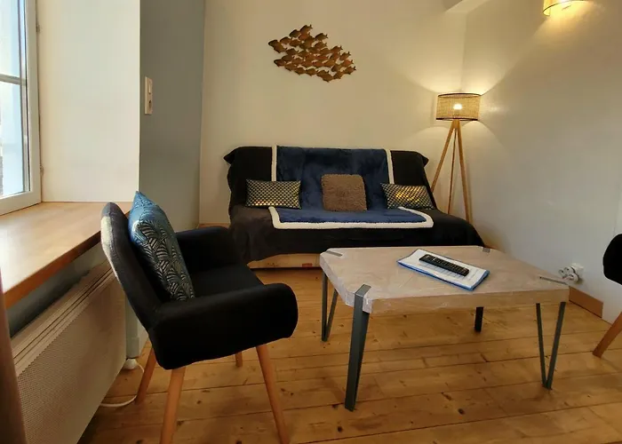 1 2 Salon ,3 Renoves , Netflix, Lits Faits A Votre Arrivee, Serviettes De Toilette, Menage, Wifi, En Hyper Centre ,plage A 190m, Box A Velos, Paiement 3 Fois Sans Frais, Prix דירה *