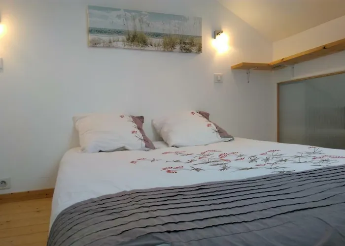 דירה 1 2 Salon ,3 Renoves , Netflix, Lits Faits A Votre Arrivee, Serviettes De Toilette, Menage, Wifi, En Hyper Centre ,plage A 190m, Box A Velos, Paiement 3 Fois Sans Frais, Prix